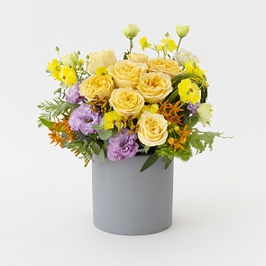 HLP018M  BRITTA 黃色/紫色鮮花盆栽